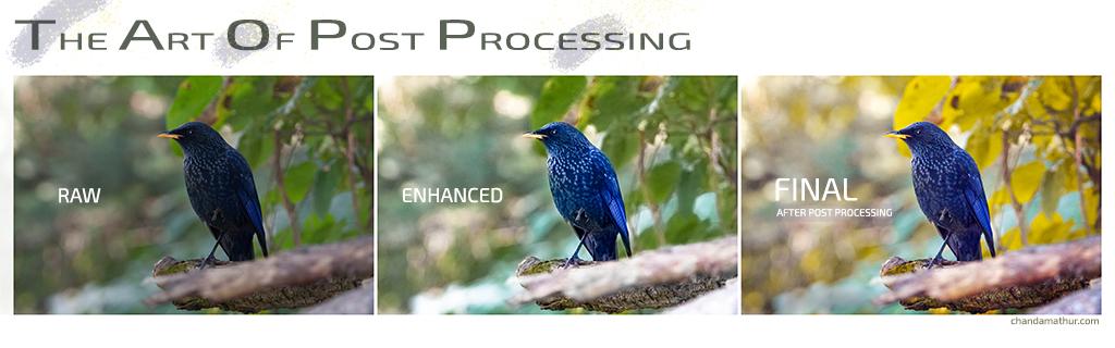 THE ART OF POST PROCESSING