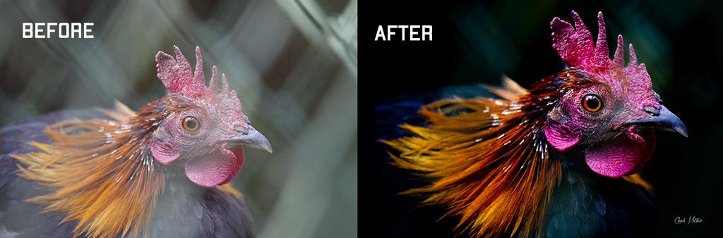 THE ART OF POST PROCESSING